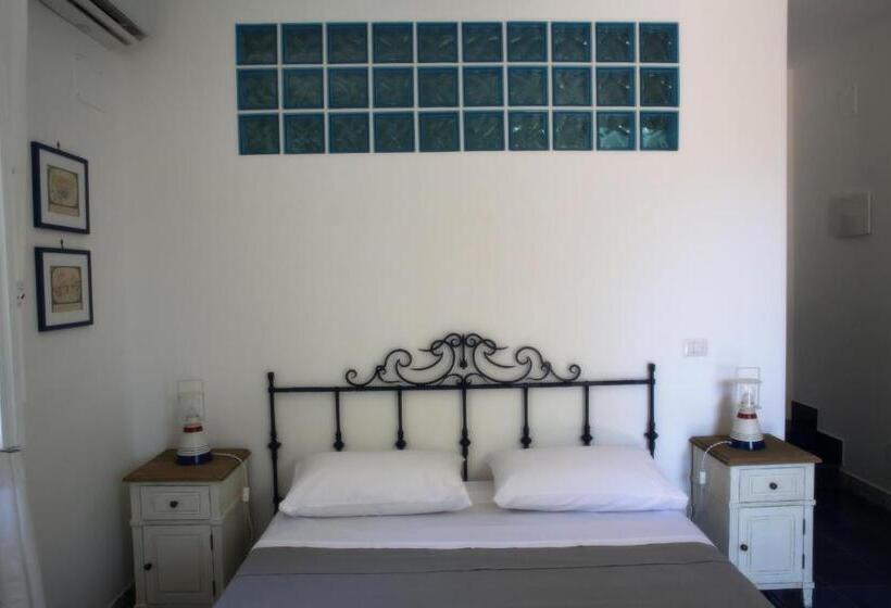 テラス付きスタンダードルーム, Avocado B&b Beyond