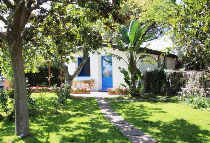 Трехместный Номер Стандарт Вид на Сад, Avocado B&b Beyond