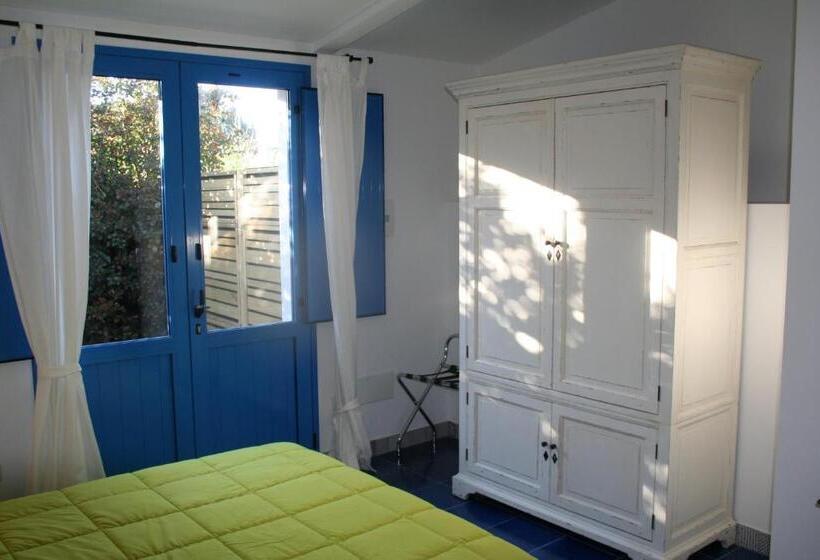 スタンダードルーム, Avocado B&b Beyond