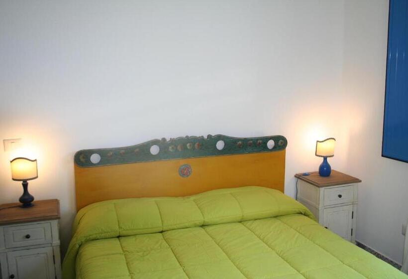 スタンダードルーム, Avocado B&b Beyond