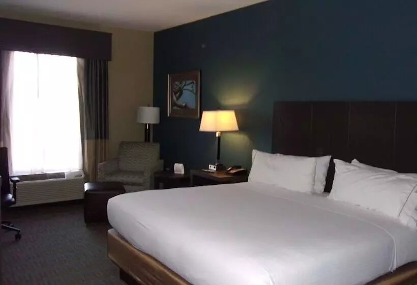 スイート, Holiday Inn Express Hotel & Suites Goldsboro   Base Area, An Ihg