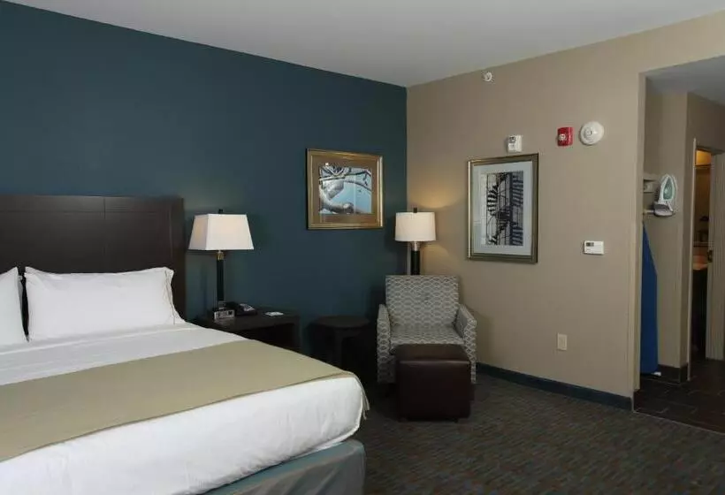スタンダードルーム, Holiday Inn Express Hotel & Suites Goldsboro   Base Area, An Ihg