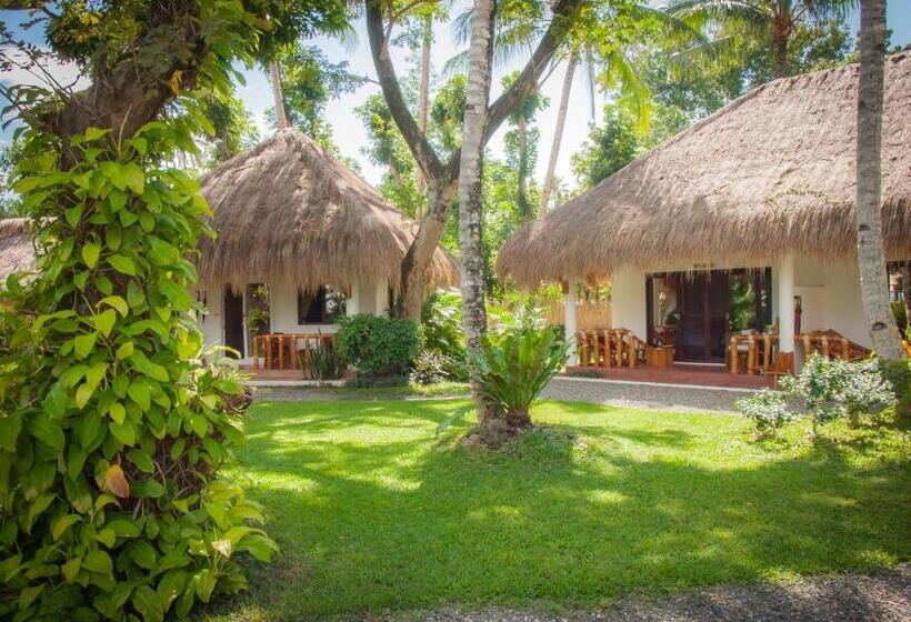 اتاق استاندارد, Pura Vida Beach & Dive Resort