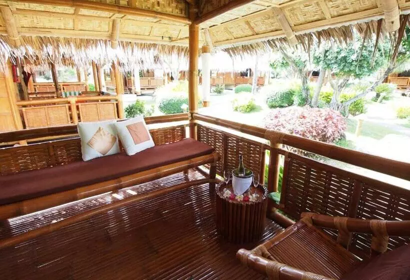 اتاق استاندارد, Pura Vida Beach & Dive Resort