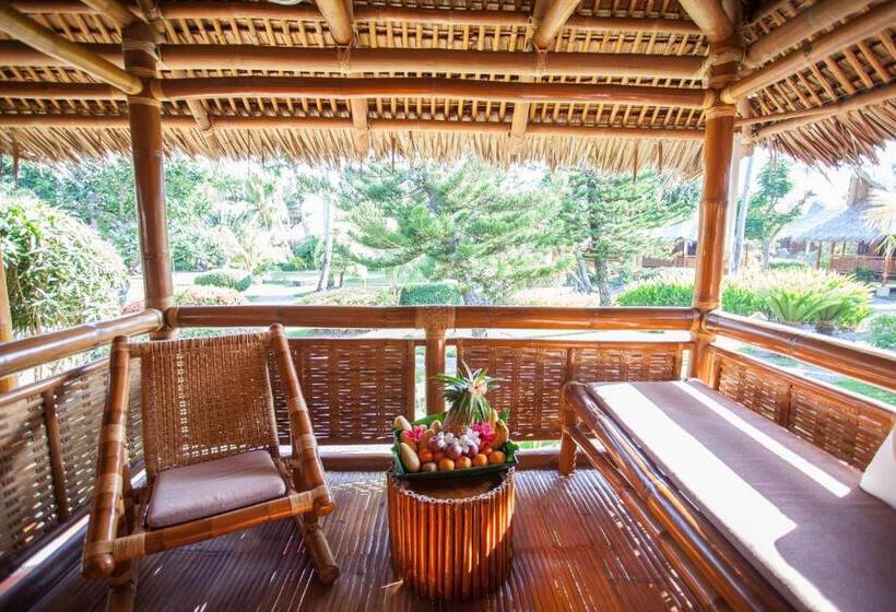 اتاق استاندارد, Pura Vida Beach & Dive Resort