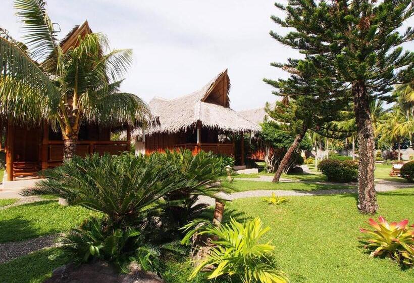 اتاق استاندارد, Pura Vida Beach & Dive Resort