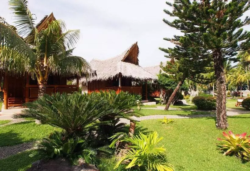 اتاق استاندارد, Pura Vida Beach & Dive Resort