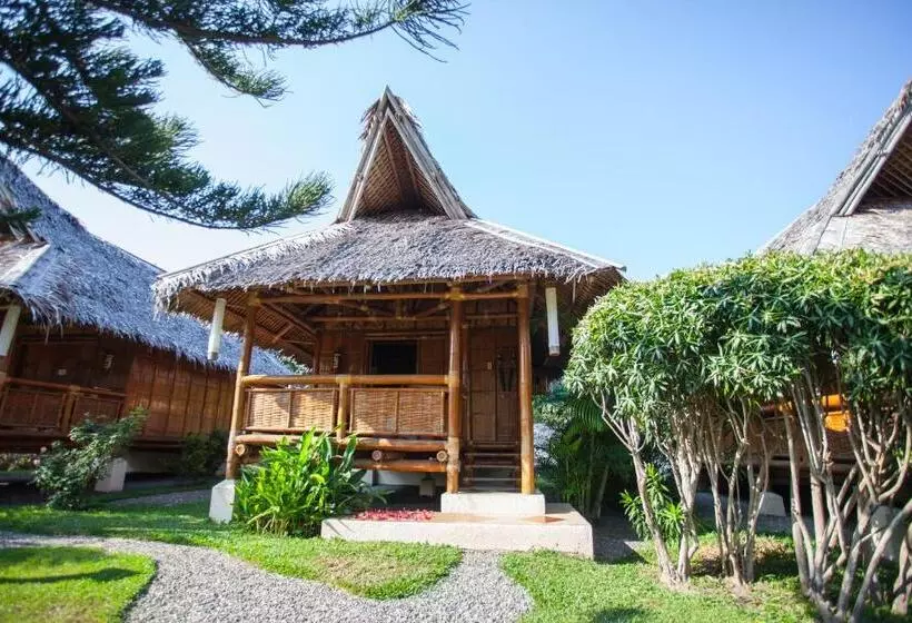 اتاق استاندارد, Pura Vida Beach & Dive Resort