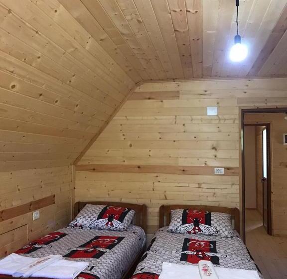 Cameră Triplă Economică, Elvis Blini Thethi