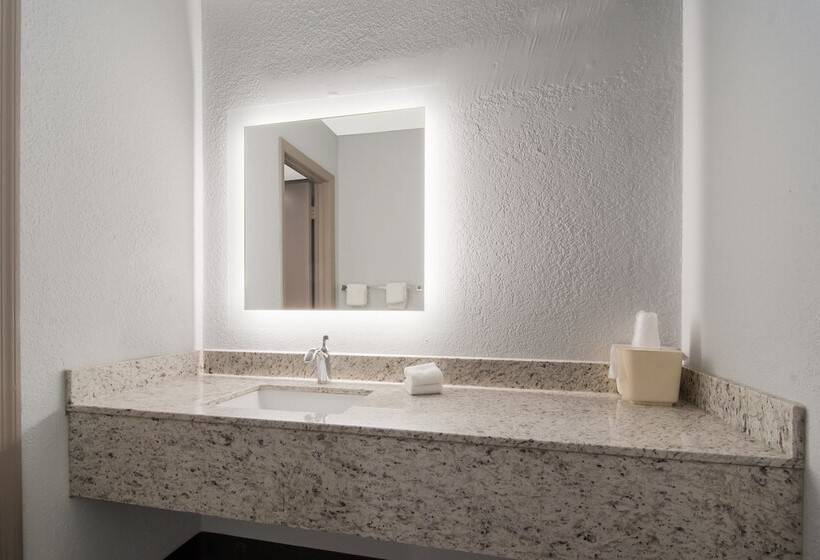 חדר דלוקס, Red Roof Inn Rocky Mount   Battleboro