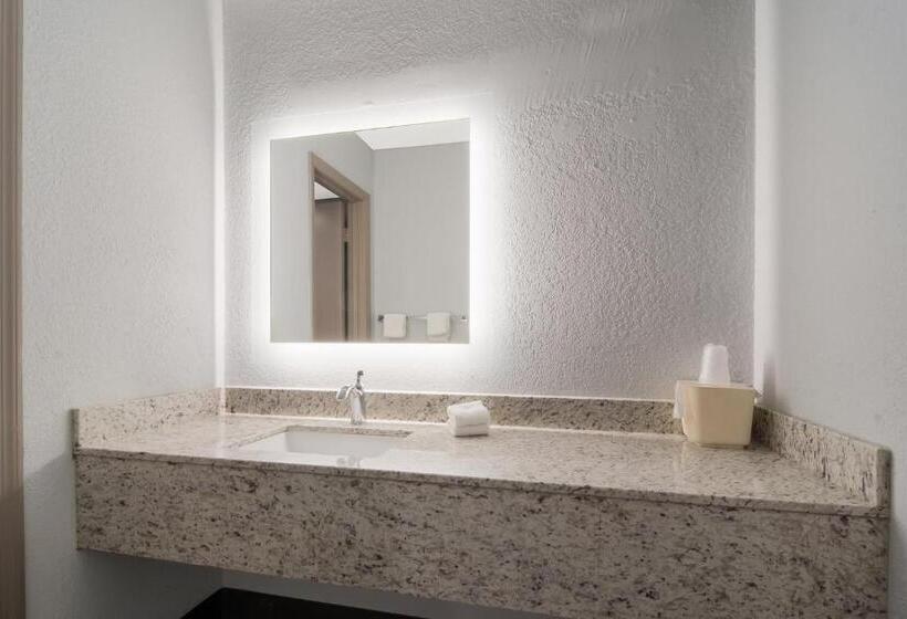 חדר דלוקס, Red Roof Inn Rocky Mount   Battleboro