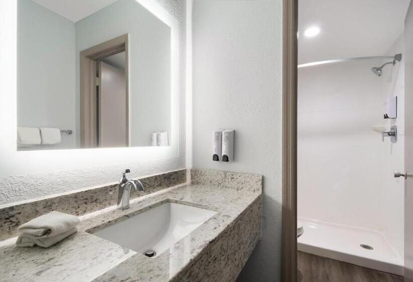 חדר דלוקס, Red Roof Inn Rocky Mount   Battleboro