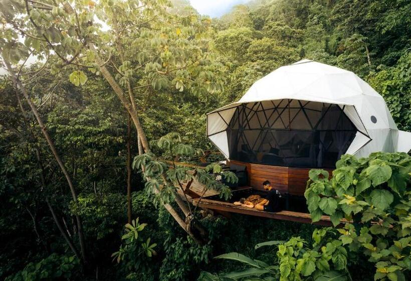 سوییت خانوادگی, Trekker Glamping