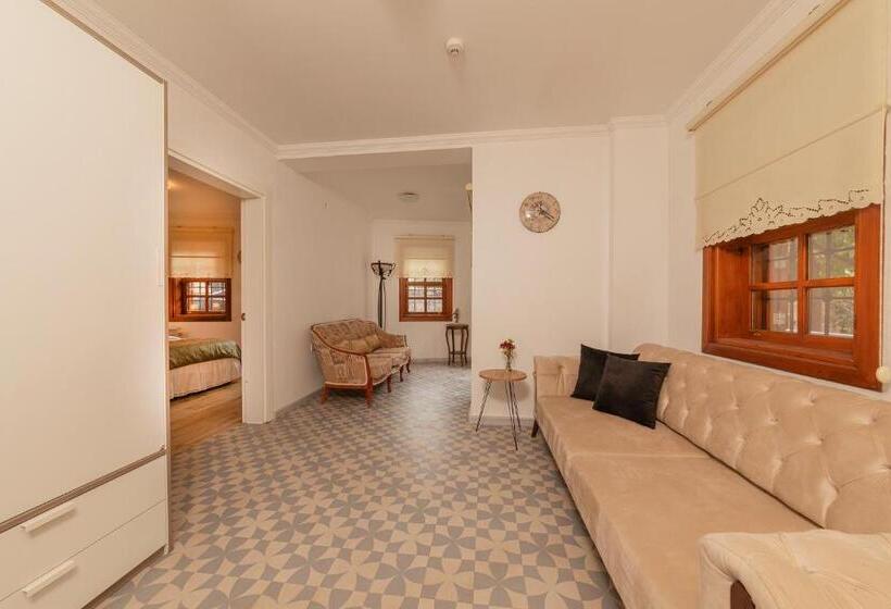 سوییت خانوادگی, Zemira Garden