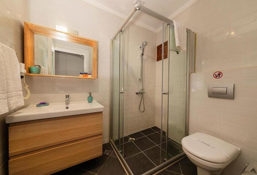 اتاق استاندارد با چشمانداز باغ, Zemira Garden