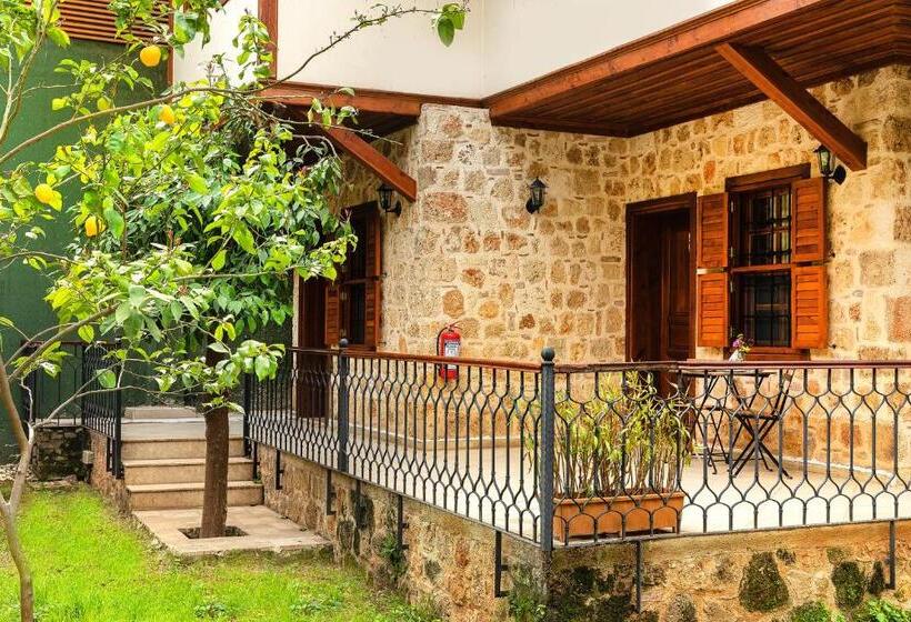 اتاق استاندارد با چشمانداز باغ, Zemira Garden