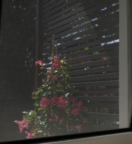 标准间, Villa Penelope