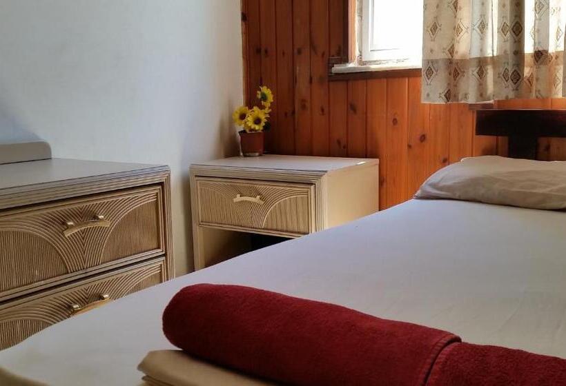 חדר אקונומי, Momos Hostel