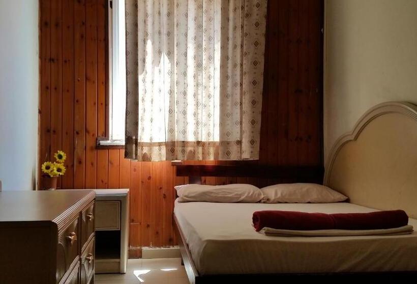 חדר אקונומי, Momos Hostel