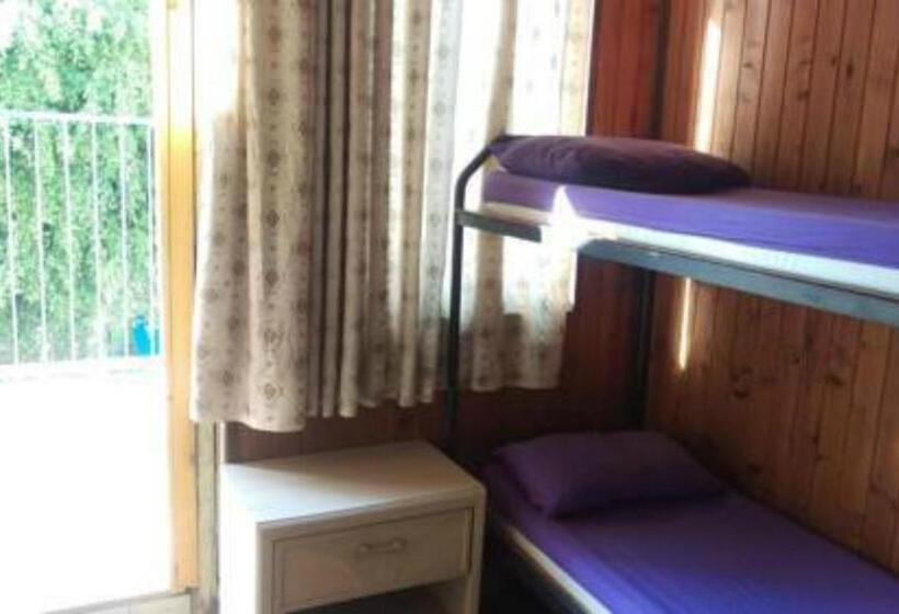 מיטה בחדר משותף, Momos Hostel
