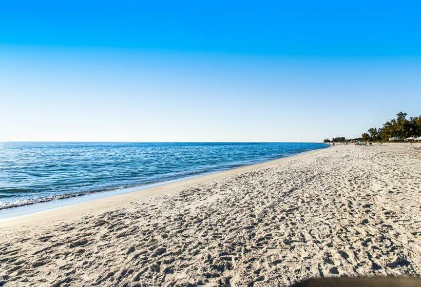 דירת שני חדרים, Serenity Now