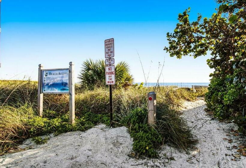 דירת שני חדרים, Serenity Now