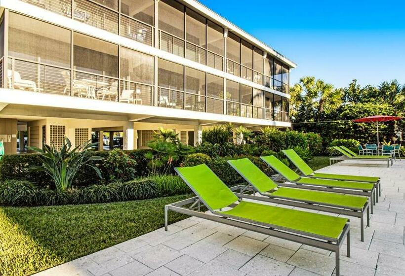 דירת שני חדרים, Serenity Now