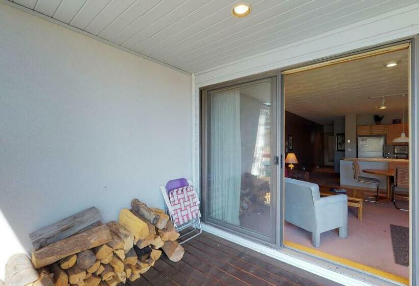 דירת חדר, East Bay 6