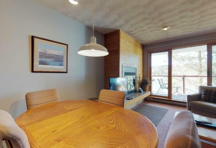 דירת חדר, East Bay 6