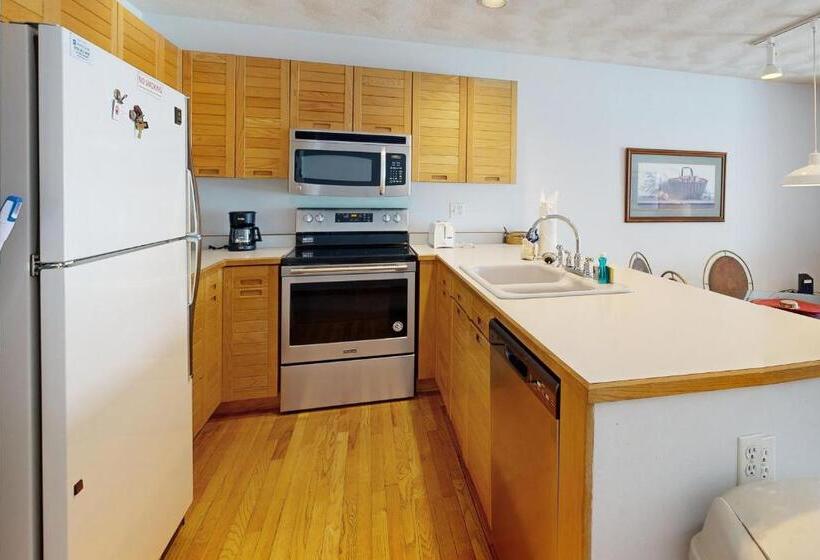 דירת חדר, East Bay 6