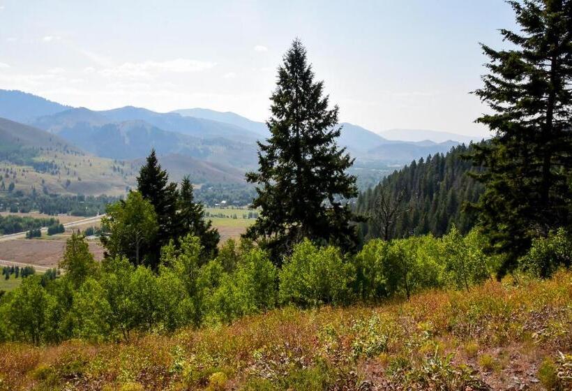 شقة غرفة واحدة, Dollar Meadows 1383