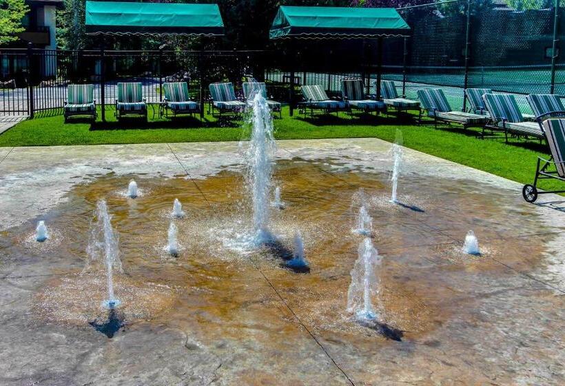 شقة غرفة واحدة, Dollar Meadows 1383