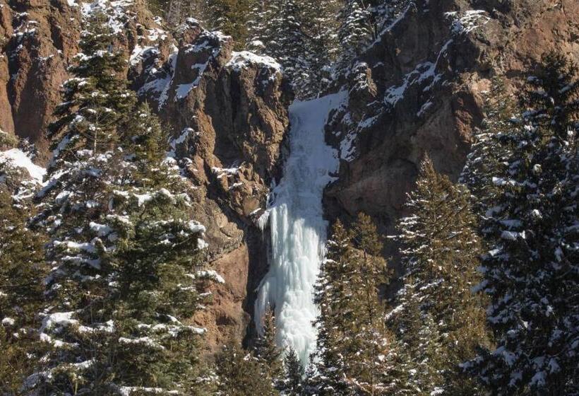 Студия Стандарт, Aspenwood 4250