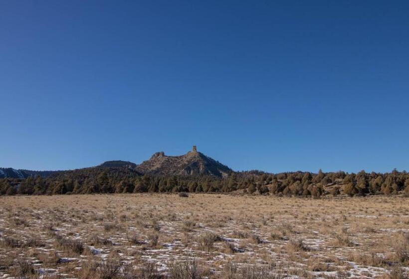 Студия Стандарт, Aspenwood 4250