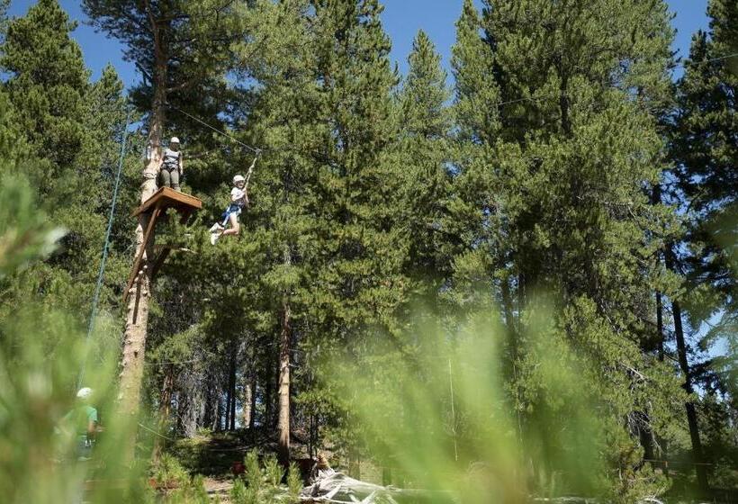 חדר סטודיו סטנדרד, Cozy Pet Friendly King Studio In Mt, Crested Butte Condo