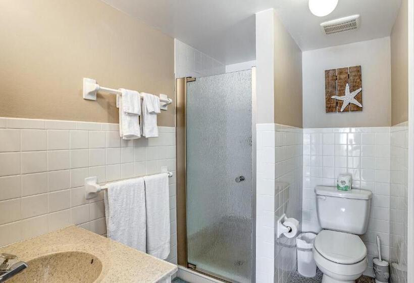 شقة غرفتين, Casa Bella Paradise