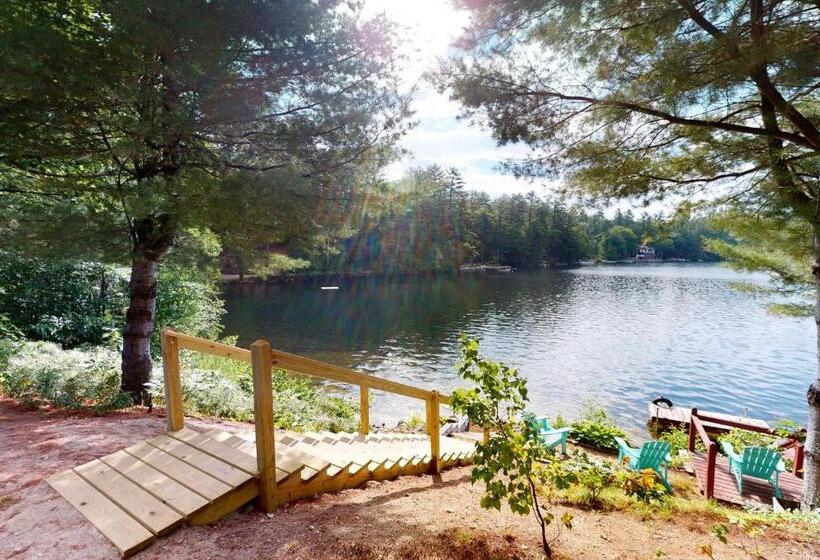 Студия Стандарт, Nanas Nest