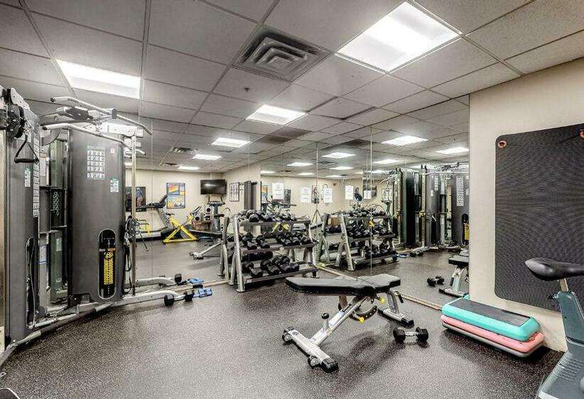 Апартаменты 1 Спальня, Simba Run