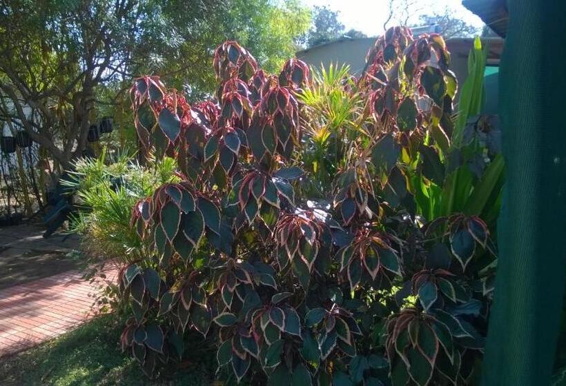 اتاق استاندارد, Gloria S Bed And Breakfast