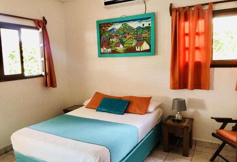 اتاق سوپریور, Hc Liri