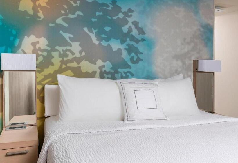 Номер Стандарт Кровать Кинг Адаптированный для Инвалидов, Courtyard By Marriott Bismarck North