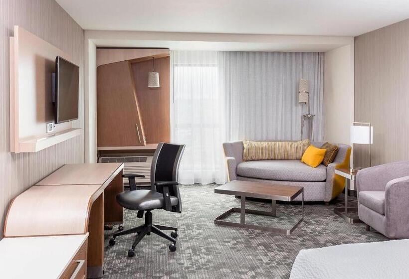 Номер Стандарт Кровать Кинг Адаптированный для Инвалидов, Courtyard By Marriott Bismarck North