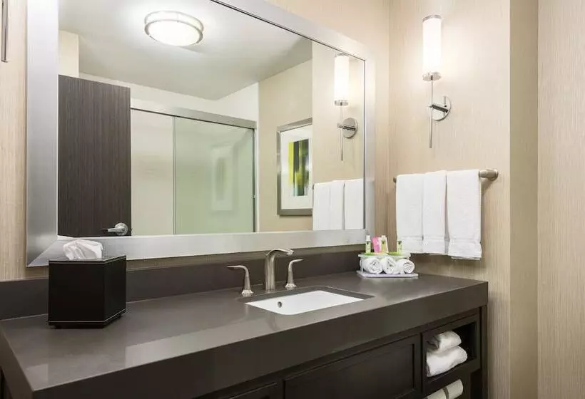 身障者適用スイートルーム, Holiday Inn Express And Suites Norman, An Ihg