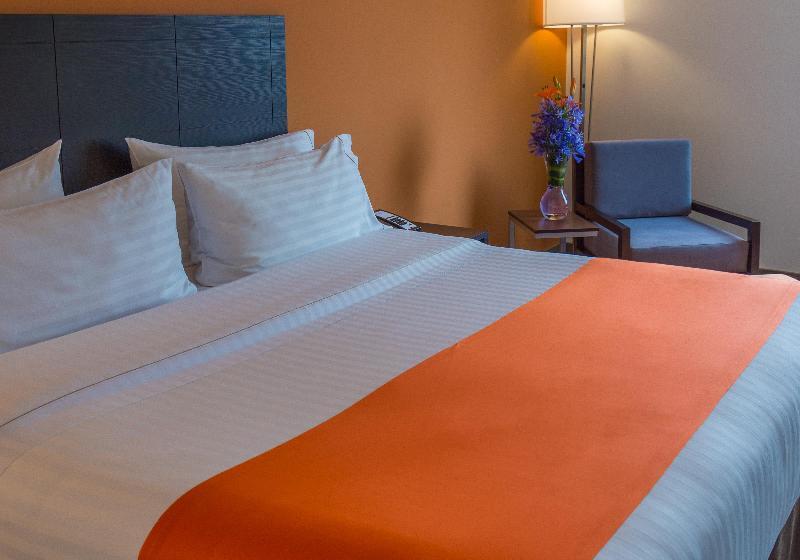 اتاق استاندارد با تخت بزرگ, Holiday Inn Express Tegucigalpa, An Ihg