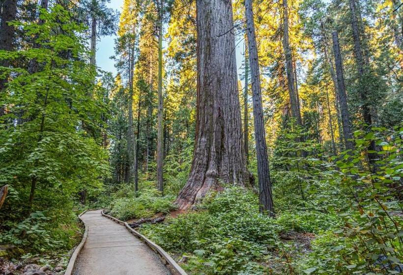 2ベッドルームアパートメント, Wine & Woods Retreat