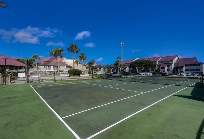 带2个卧室的公寓, The Southern Harmony