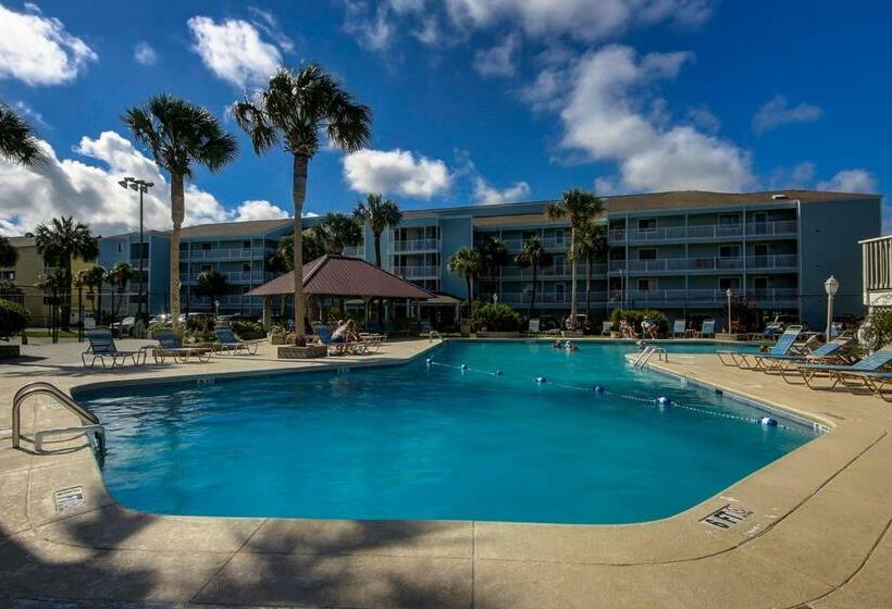 带2个卧室的公寓, The Southern Harmony