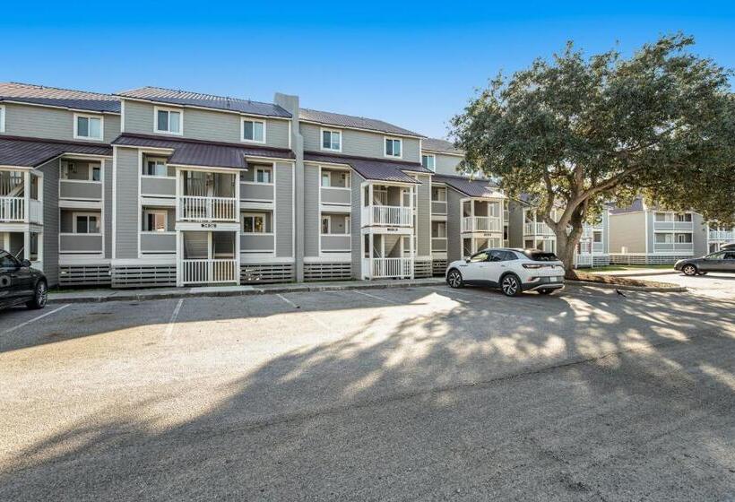 带2个卧室的公寓, The Southern Harmony