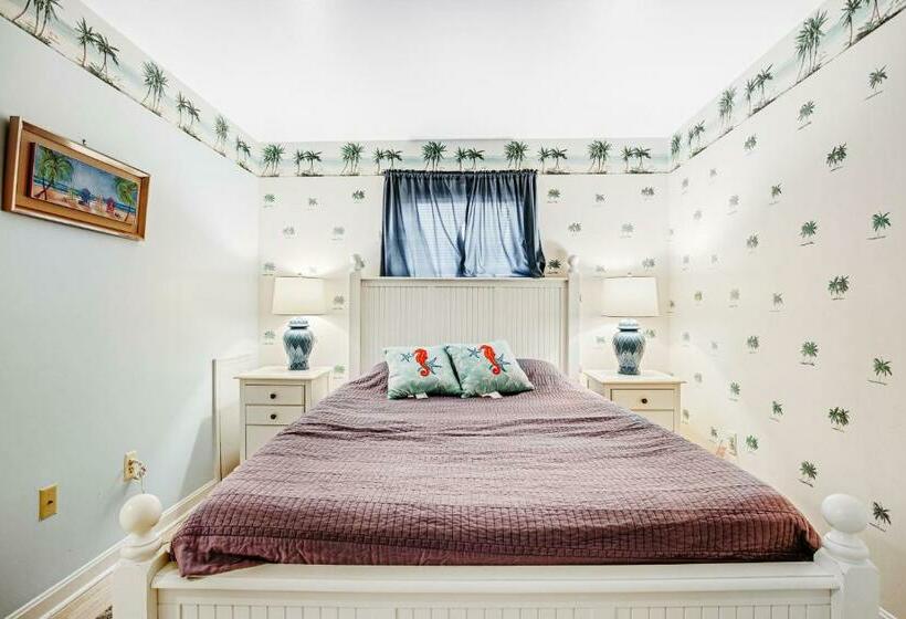 شقة غرفتين, 37534 Lighthouse Rd #202