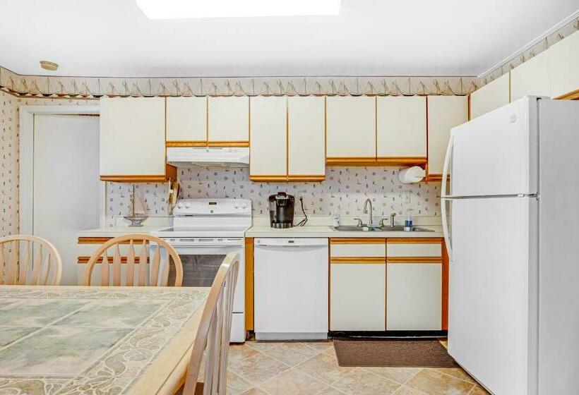 شقة غرفتين, 37534 Lighthouse Rd #202